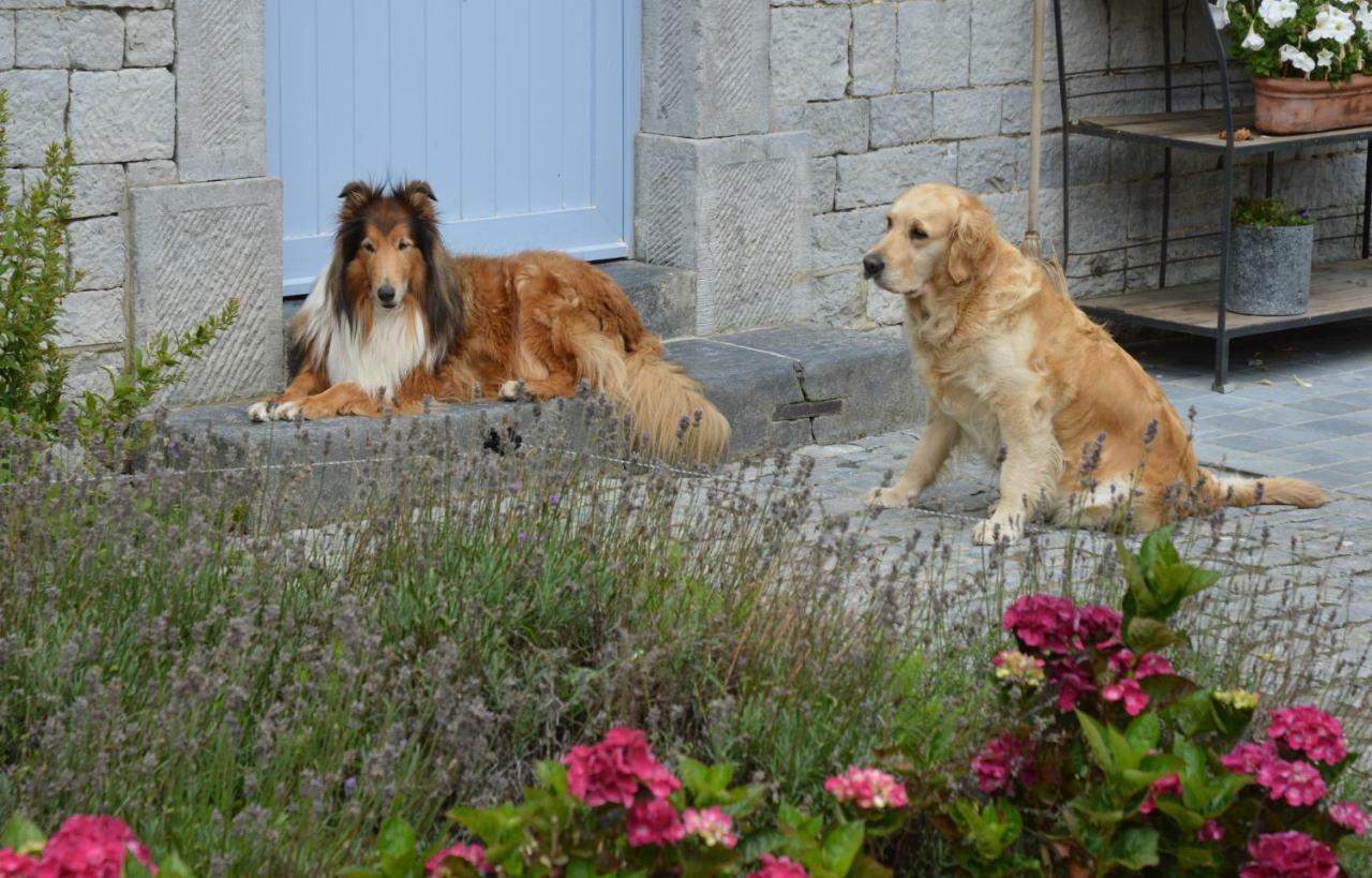 Aux 4 Saules De 4 Wilgen Bed & Breakfast Modave Luaran gambar