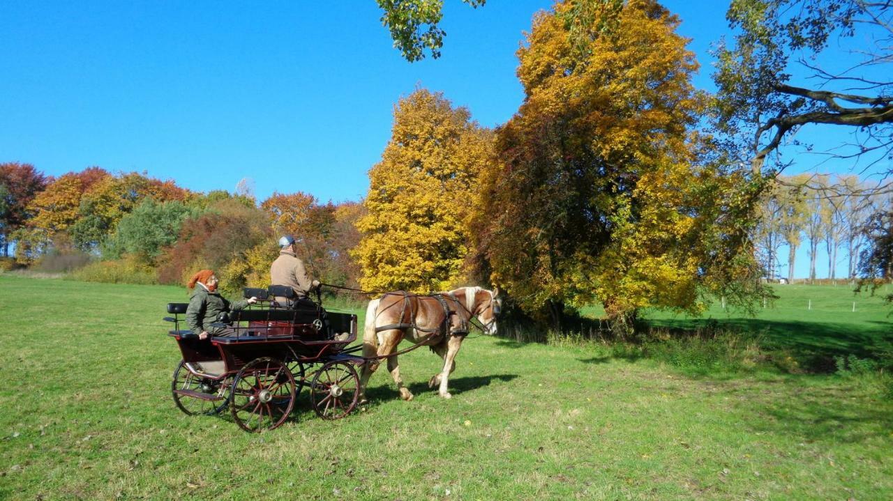 Aux 4 Saules De 4 Wilgen Bed & Breakfast Modave Luaran gambar