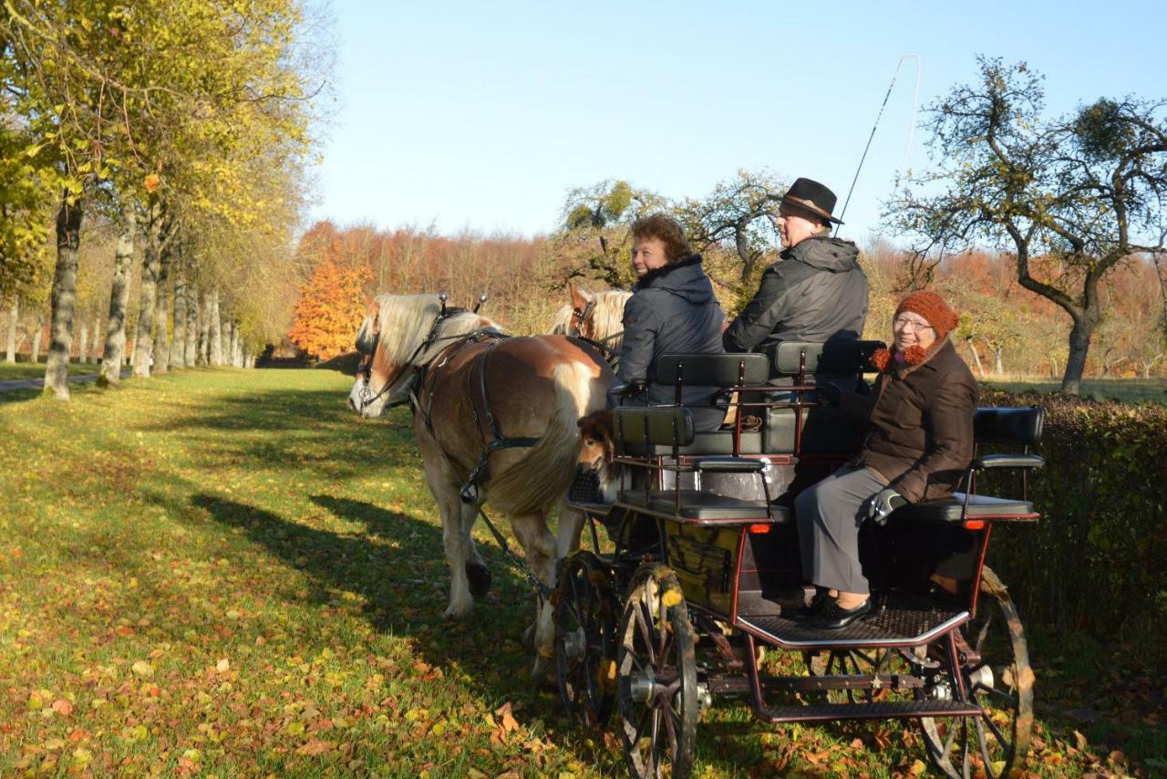 Aux 4 Saules De 4 Wilgen Bed & Breakfast Modave Luaran gambar
