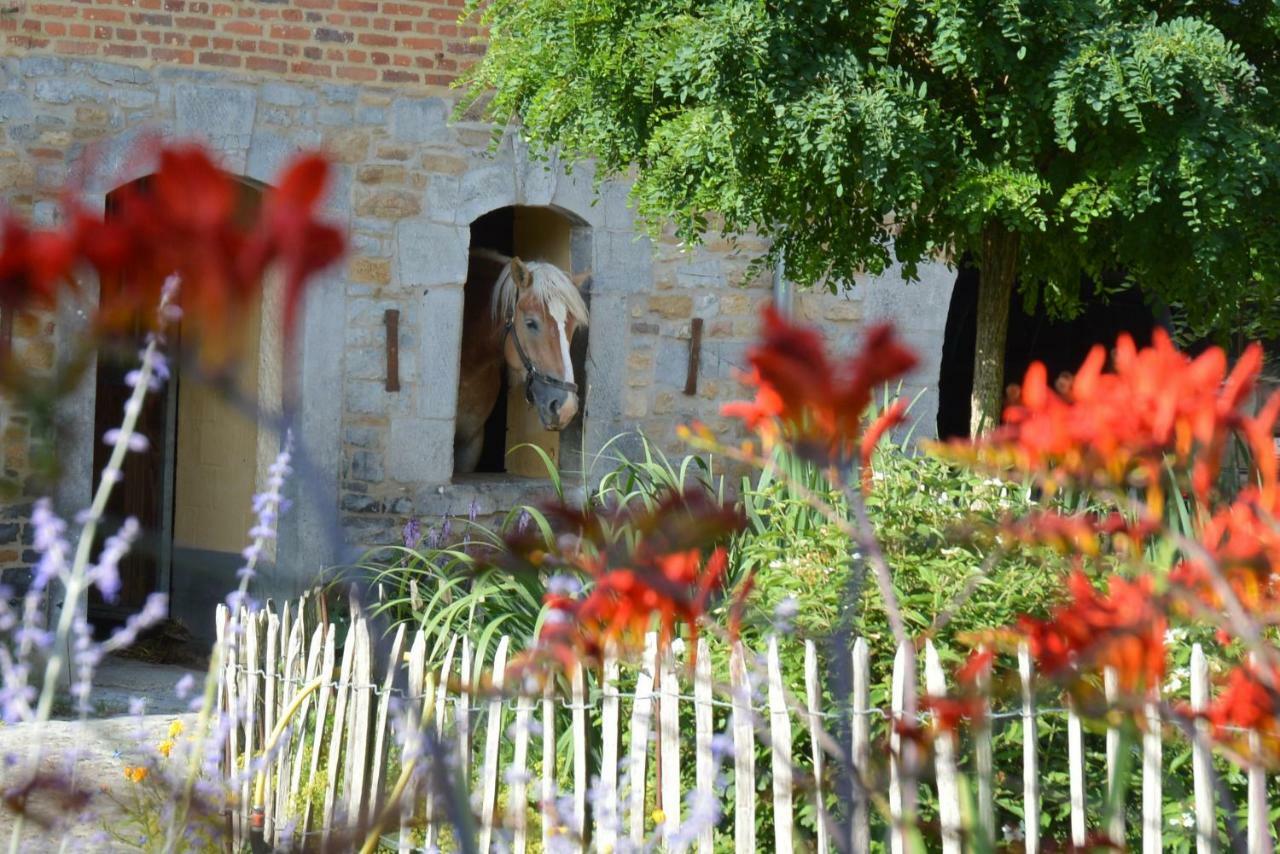 Aux 4 Saules De 4 Wilgen Bed & Breakfast Modave Luaran gambar